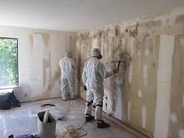 Mold Remediation for Rental Properties in Weyers Cave, VA